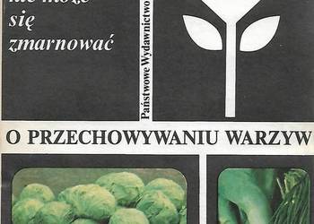 O przechowywaniu warzyw  - Koterowa