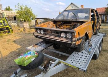 Polonez borewicz na części pierwsze