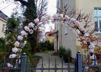 Mieszkanie Wrzeszcz odświeżoneobok lasu Politechniki FILM bezpośrednio