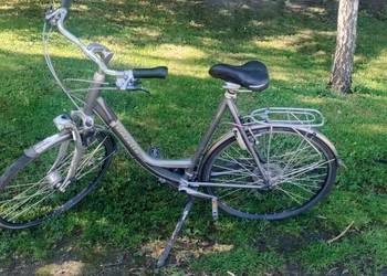 Rower Gazelle Gold line