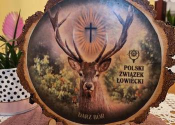 Obrazek na plastrze brzozy/Darz Bór