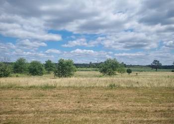 Wynajmę DUŻĄ Działkę pod Fotowoltaikę lub inne Działalności