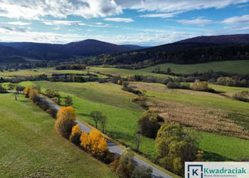 Oferta sprzedaży gruntu 587000m2 Daliowa