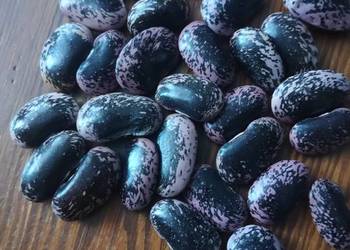 Fasola tyczka Jaś kolorowy