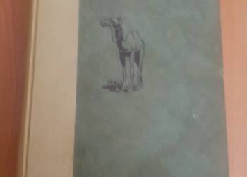 Stara zabytkowa książka.