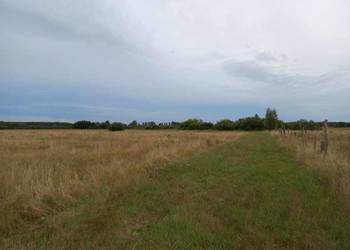 Działka w pobliżu morza