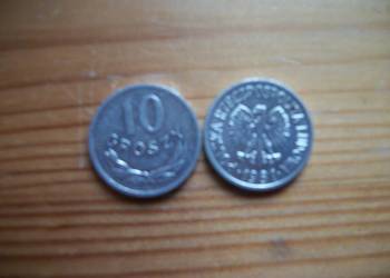 10 groszy 1981