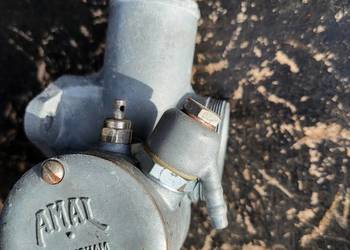 AMAL GAZNIK AMAL 383 32