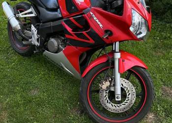 Honda cbr 125