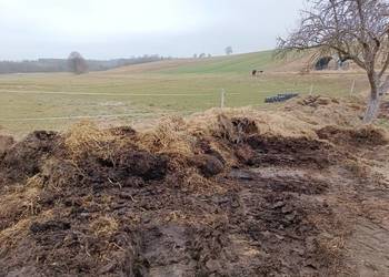 Sprzedam koński obornik, nawóz duża ilość