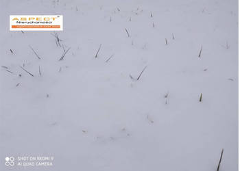 Działka 26,58 ar Rzeszów Matysówka na sprzedaż