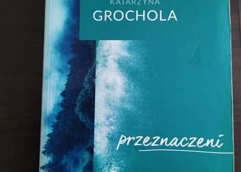Katarzyna Grochola " Przeznaczeni"