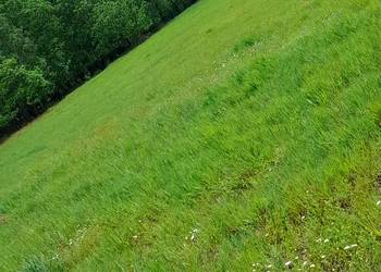 Działka  rolna 15000 m2