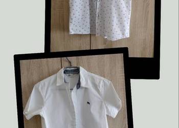 Koszule wizytowe - zestaw roz.146