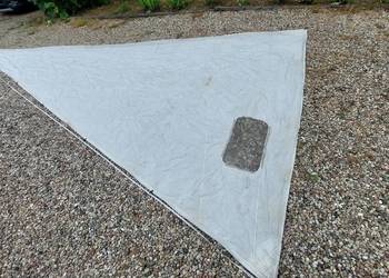 Źagiel, fok  genua Źagiel, fok  genua