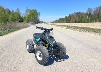Quad Suzuki Kazuma 100cm