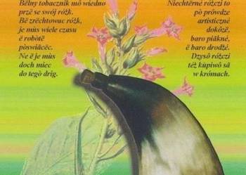 POCZTÓWKA - KASZUBY - KASZËBSKÔ TOBAKA