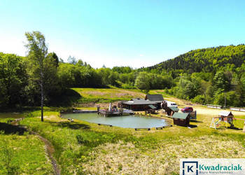 Działka 11659m2 Krzywe