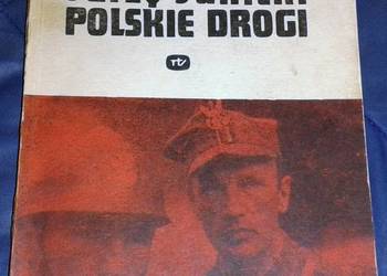 Polskie drogi - Jerzy Janicki
