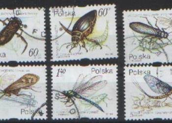 Zn. Fi 3632 - 7 kas 1999