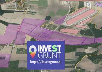 [140,83 ha] przetarg na dzierżawę gruntów rolnych