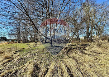 Działka budowlano-usługowa – Radlin, Biertułtowy