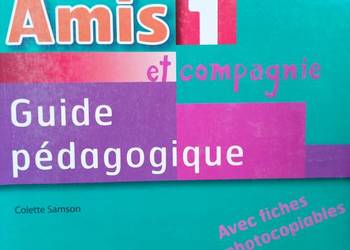 Amis 1 podręczniki metodyka językowe księgarnia internetowa