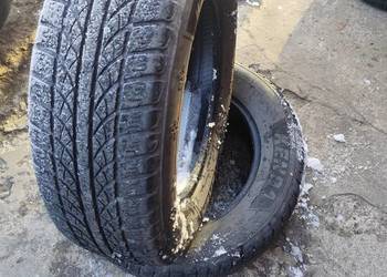 2x 225/65/17 106h xl kenda wintergen2 suv