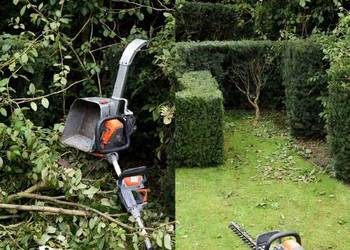 Wycinka drzew, rąbanie gałęzi RĘBAKIEM i żywopłoty | Grudziądz, Kwidzyn