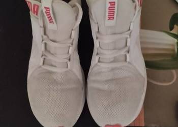 Obuwie Sportowe PUMA