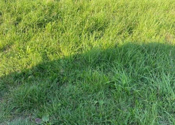 Do sprzedaży grunt 300m2 Łazy