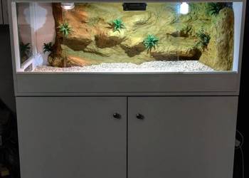 Terrarium dla żółwia greckiego gekona lamparciego