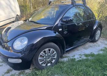 Vw beetle polecam