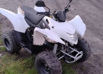 Aeon Cobra SWAP Kymco Tgb Access Sym Adly Goes Kayo Quady ATV Barossa SMC