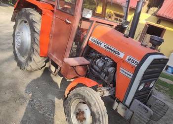 MF 255 Ursus 3512 1988 r  Pierwszy właściciel