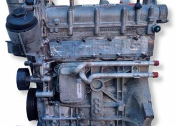 SILNIK VW Touran Golf V Eos Jetta III 1.6 FSI 115KM BLF benzynowy