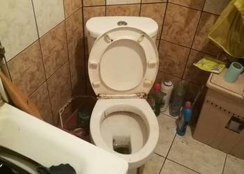 Usuwanie zapachu stęchlizny z wnętrz ozonowanie Gliwice - Vector