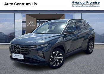 Salon Polska, Autoryzowany dealer, Manual, El. Klapa, Teal