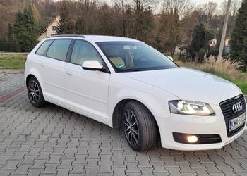 Audi A3 8P 1.6 TDI
