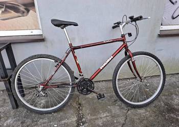 Rower górski 26 Cali Thorn