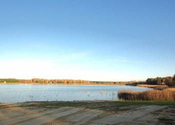 Oferta sprzedaży działki 594m2 Majdan Zahorodyński