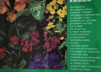 Margot Schubert - Mieszkamy wśród kwiatów