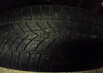 Opony Zimowe Dunlop Winter Sport 4D  225/45/r17