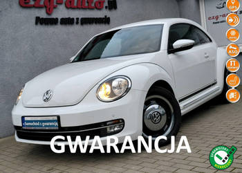 Volkswagen Beetle bezwypadkowy serwis wyposażenie Gwarancja