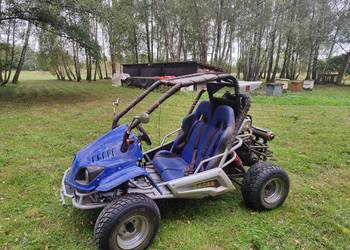 Buggy 250