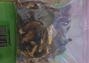 Grzyby suszone 100g