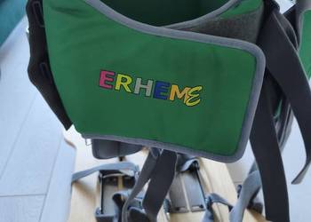Pionizator Erheme
