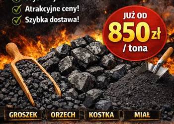 Groszek PGG Wegiel Orzech Kostka Miał Drewno Opałowe