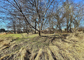 Działka budowlano-usługowa – Radlin, Biertułtowy