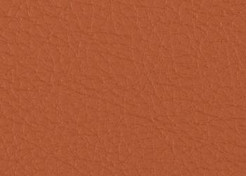 Eko Skóra Prodigy 695G/M2 137Cm Kolor Ochre / Pro-690